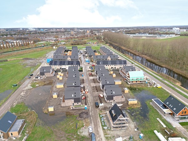 49-Moerasorchidee 29 - Lelystad.JPG